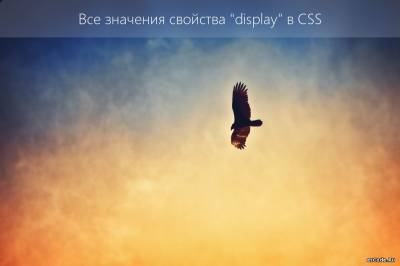 Все значения свойства "display" в CSS